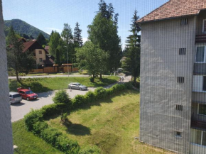 Apartamente La 2-3 Ursuleti